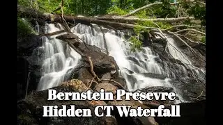 Bernstein Preserve & channel update