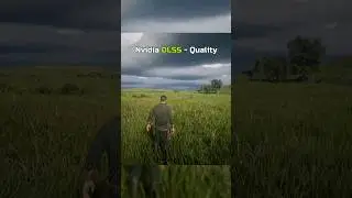 DLSS4 vs. FSR2 - Comparison | RDR2
