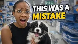 Я отвела своего щенка в магазин Lowe&rsquo;s на социализацию&hellip; Он плакал всё это время.