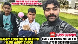 🤩DEHRADUN PERSIAN CAT HOME DELIVERY REVIEW VLOG &bull; HAPPY CUSTOMER &bull; CUTE SMALL KITTENS &bull; CAT FOR SALE