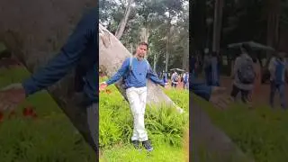 Bigg Boss OTT, Bollywood updates, South Indian movie trailers, Hollywood gossip#my short