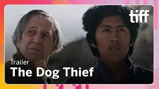 THE DOG THIEF Trailer | NEXT WAVE 2025