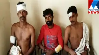 Goonda attack in Thamarasherry; 6 injured   | Manorama News