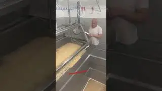 Susam taşıma robotu #sesame #process
