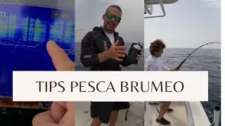 PESCA UN ATUN GIGANTE! BRUEMO PASO A PASO Y COMO LEER LA SONDA🔥