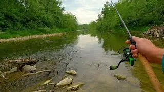Fishing Before Thunderstorms Is A GOOD And BAD Idea (Plus an East Fork Little Miami Honey Hole?)