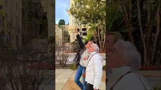 🔥 Visita Centro de M&Aacute;LAGA, Espa&ntilde;a 🇪🇸#centrohist&oacute;rico #m&aacute;laga #costadelsol #andalucia #espa&ntilde;a