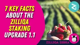 5 Key Facts about the Zilliqa Staking Update to v1.1