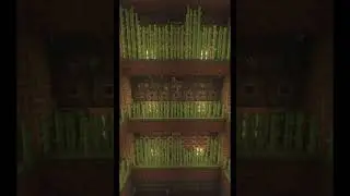 Meat Mans Shugar Cane Farm! #minecraft #gaming #minecraftbuilding #survival #mc