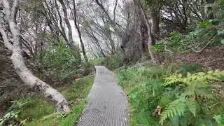 Wattamolla Beach & Eagle Rocks