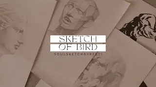 A minimal hand-drawn bird sketch capturing natural beauty, fine lines.