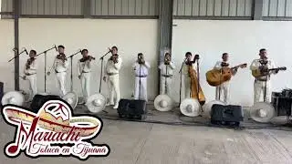#mariachitolucaentijuana  #serenatasentijuana  #mariachisentijuana 