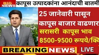 25 जानेवारी पासून कापूस बाजारभाव वाढणार|हेक्टरी कापूसखरेदीतवाढ 9000रू।KapusBajar भाव 10000रू पार#cci