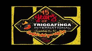 TRIGGAFINGA INTL - 15TH ANNIVERSARY - CAREFUL WHAT YOU WISH FOR (100% Roots Reggae Dubplates Pt1)