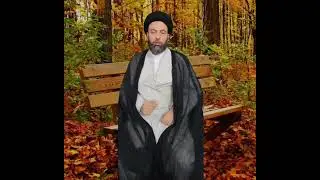 حكم قتل القطط