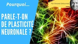 Pourquoi parle-t-on de PLASTICITE NEURONALE ?