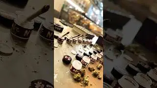 Inside the Autoflower World Cup &bull;&bull;&bull; world 🌍🙂&zwj;&harr;️