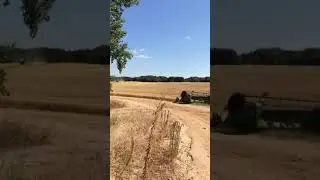 Wheat harvest 18