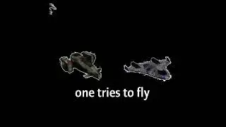 two birds on a wire but it&rsquo;s IP2