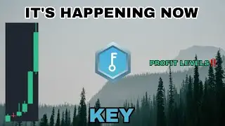 SELFKEY KEY COIN IS HAPPENING IN MAY 2024‼️ SELFKEY CRYPTO PROFIT LEVELS‼️ CRAZY PRICES SOON