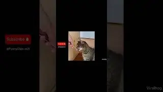 The Best Of The Internet (2023) Part 2 😂