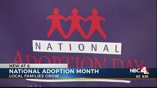 Celebrating National Adoption Month