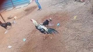 Maddikera agraharm