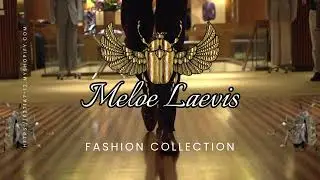 Meloe Laevis