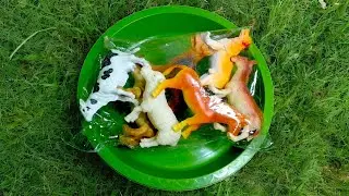 Animal Toys ASMR: Cow, Dog, Goat, Wolf, Horse & Rhino &mdash; Satisfying Sounds for Relaxation