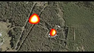 Find animals over 10x faster with Multi-Track aerial tracking