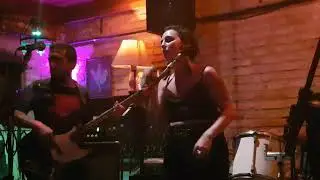 Monkey Business - 'The Rover' (Led Zeppelin cover)