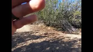 Operation: Nuke Flash Roughnecks Airsoft Game