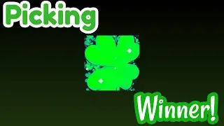 Picking Ultimate Clover Winner!
