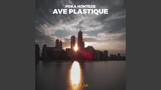 Ave Plastique