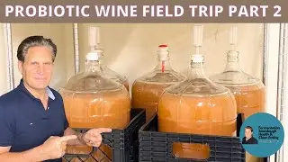Natural Probiotic Wine Making - Vineyard Field Trip Part 2 - Fermentation