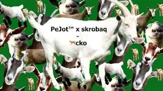 PeJot&trade; feat. skrobaq - 🐐cko (prod. boeuf)