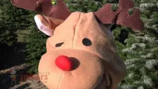 Adult Reindeer Costume (ref: 61956)