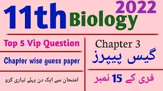 1st Year biology guess Paper 2022 | Chapter 3 Enzyme | 11th class Biology Guess Paper 2022