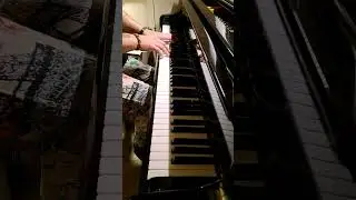 Niet alles wil opgelost worden...   #art #beethoven #piano #shorts