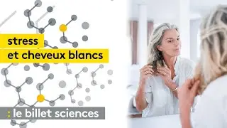 Cheveux blancs : le phénomène est réversible !