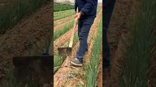 Most Important tools for every farmers #shorts #tools #agriculture