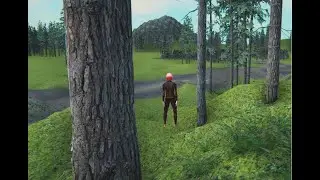 Unity Online Multiplayer Battle Royale Project (2022)