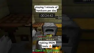 playing 1 minute of minecraft hardcore per day (33)