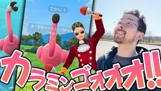 カラミンゴ実装！まさかのXXL！？新アバターに似合うポケモン募集！？レッツカーニバル＆おさんぽお香がちょい残念な事に？！【ポケモンGO】
