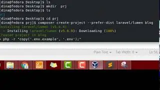 How to fix composer nothing to install &laravel cmd not found&Permission denied