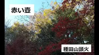 赤い壺　作：種田山頭火
