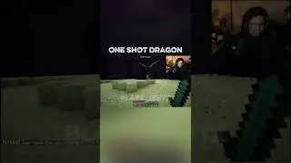 one shot daragon kill by Gamerfleet #shorts #gamerfleet #dragon #minecraft @GamerFleet