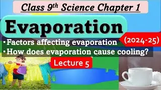 Evaporation - Matter in Our Surroundings Class 9 Science Chapter 1 | Lecture 5 @ScienceEdustation