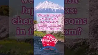When to Visit Japan for Cherry Blossoms (Sakura) 2025