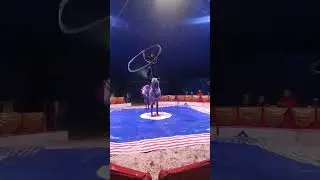 Zirkus Renz